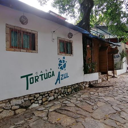 Hotel Casa Tortuga Azul à Palenque Extérieur photo