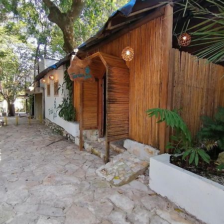 Hotel Casa Tortuga Azul à Palenque Extérieur photo