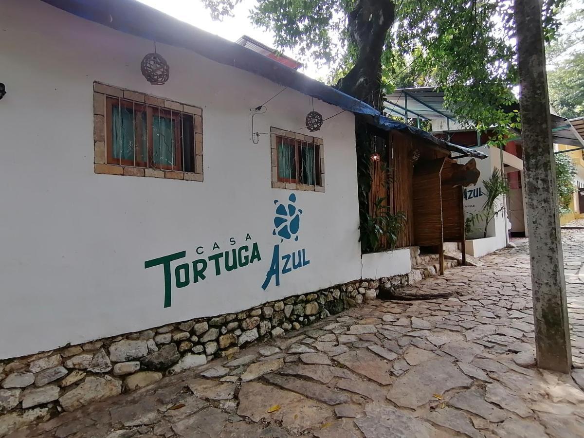 Hotel Casa Tortuga Azul à Palenque Extérieur photo